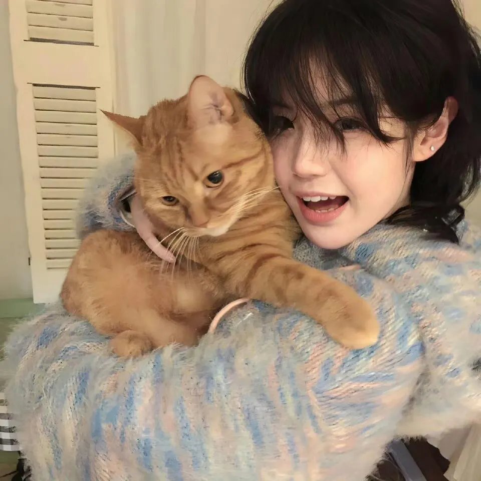 本宫太受欢迎了怎么办